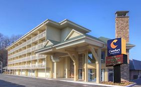 Comfort Inn And Suites Dollywood Lane